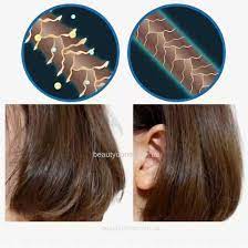 LADOR Wonder Bubble Shampoo 150ml - hydratační šampón pro suché vlasy